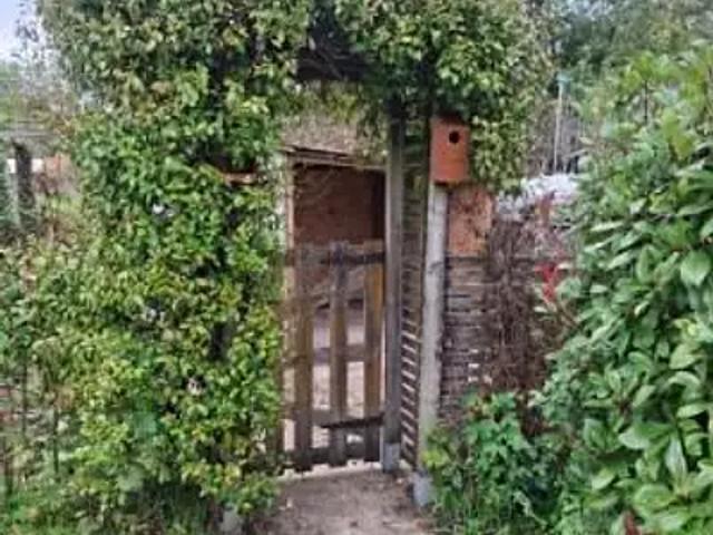 Saint Léger des Vignes 58300 Achat / Vente maison 3 pièces t3 jardin