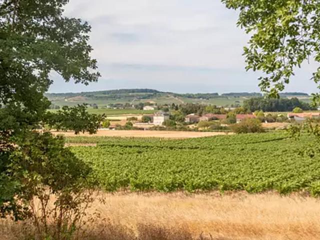 Saint Même les Carrières 16720 Achat / Vente maison