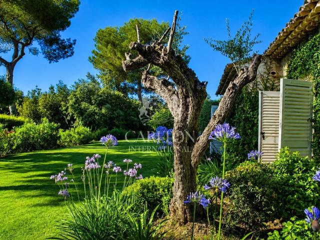 Saint Paul de Vence: Vue Exceptionnelle Mer et Village