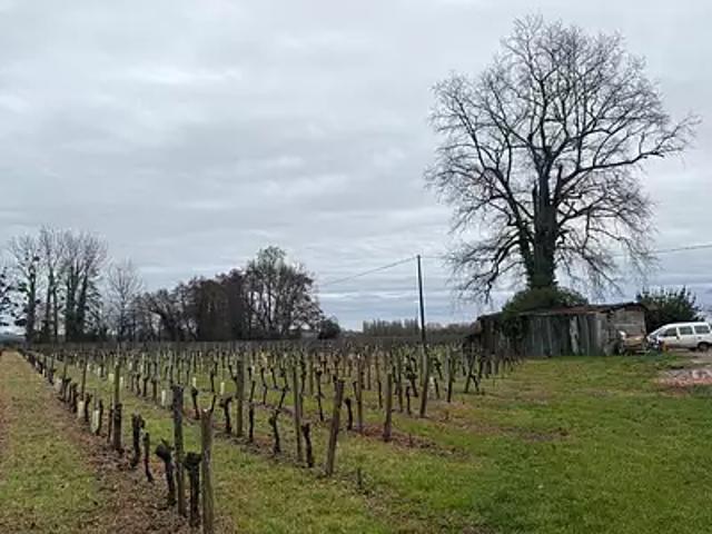 Saint Pey d'Armens 33330 Achat / Vente maison 3 pièces t3 jardin