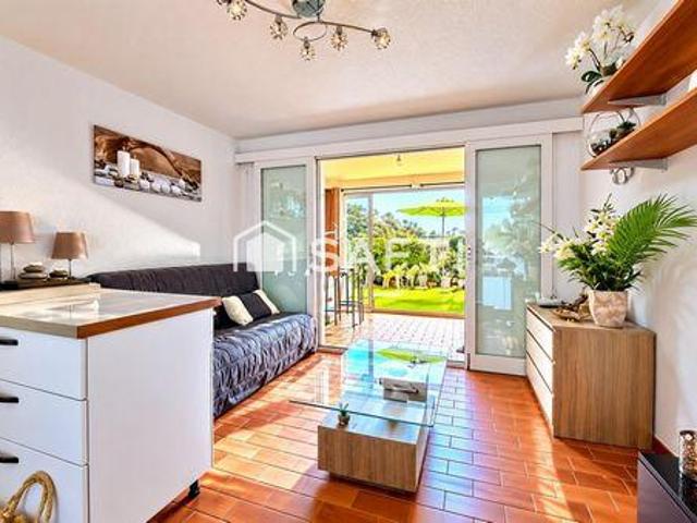 Saint Provence 83370 102759276
