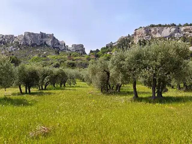 Saint Rémy de Provence 13210 Achat / Vente appartement 3 pièces t3 au dernier étage