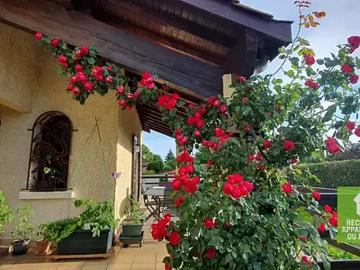 Saint Romain de Jalionas 38460 Achat / Vente maison 7 pièces t7 terrasse