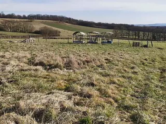 Saint Sylvestre Pragoulin 63310 Programme neuf maison neuf à vendre 5 pièces