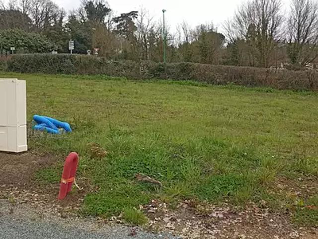 Sainte Cécile 85110 Programme neuf maison neuf à vendre 4 pièces