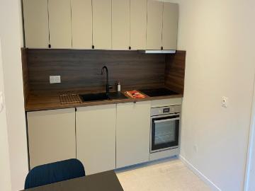 SAINTE FOY LES LYON T2 meublé de 46.5 m2, entièrement.