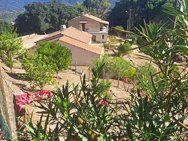 Sainte Lucie de Tallano 20112 Achat / Vente maison 4 pièces t4 jardin terrasse