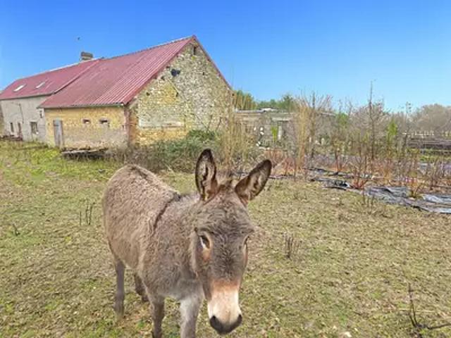 Sainte Scolasse sur Sarthe 61170 Achat / Vente maison 7 pièces t7 jardin terrasse