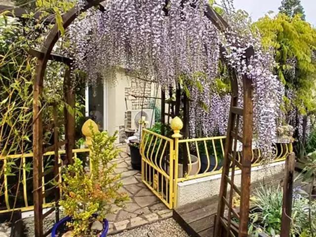 Sainte Radegonde 17250 Achat / Vente maison 4 pièces t4
