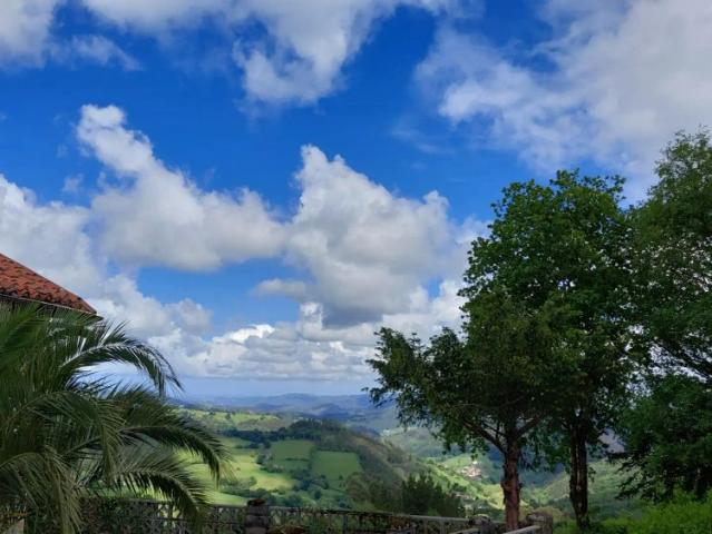 Salas