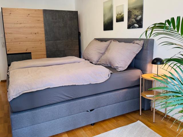 Salbei City Apartment Innsbruck with a view of the Nordkette mountain range