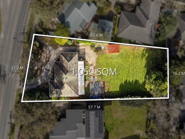 Foothills delight with big backyard