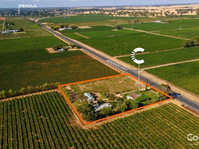 SALE BEAUTIFUL CHARACTER LIFESTYLE 2 DWELLINGS + VINES