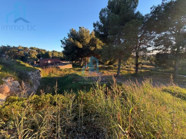 Sale Land Divisions El Vendrell