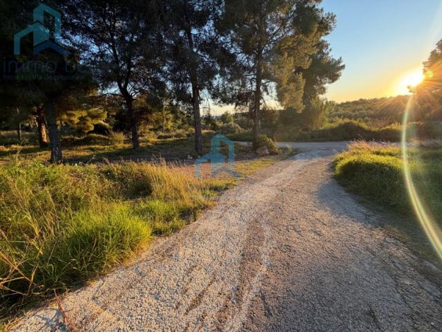 Sale Land Divisions El Vendrell