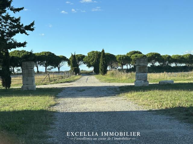 Salin De Giraud Vente Propriété/château 13
