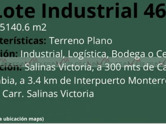 Salinas Victoria