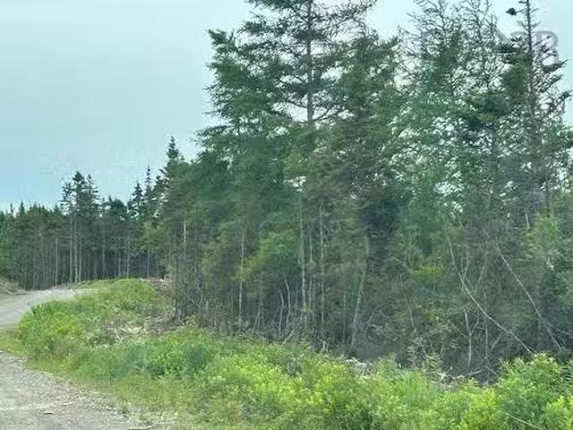 Salmon River Road, West L'Ardoise, NS, B0E 1S0 vacant land f.