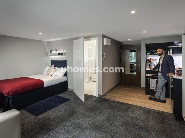 Sapphire Plus Studio