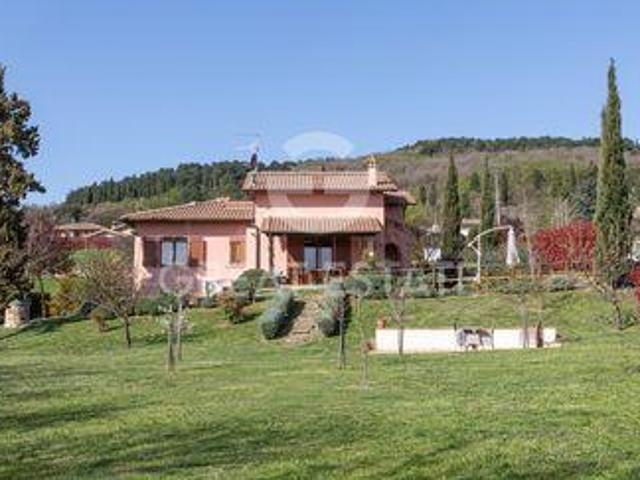 Sarteano Siena LS88440199