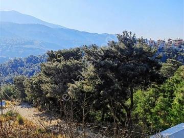 Sarımazı'da Komple Satılık 3 Katlı Bahçeli Bina