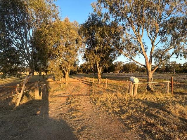 Saratoga 180 acre prime farming land large 4 bedroom 2 bathroom 3 living space homestead with all steel 2 stand sheering shed & numerous shedding