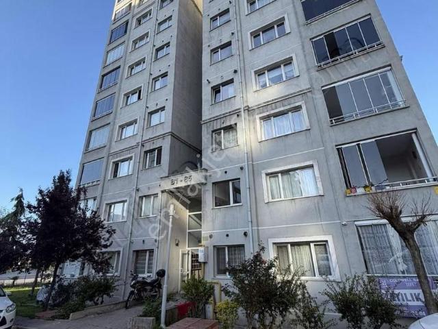 Sarel'den Kiralık 2+1 Daire