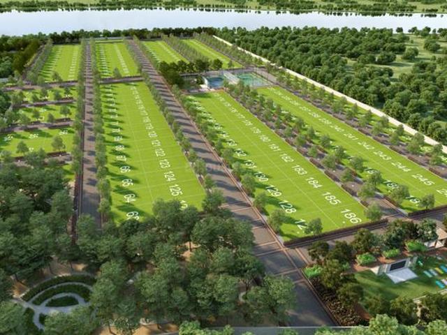 Sarjapur Residential Plot For Sale Bengaluru