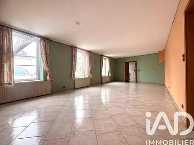Sarrebourg 57400 Achat / Vente appartement 3 pièces t3 cave