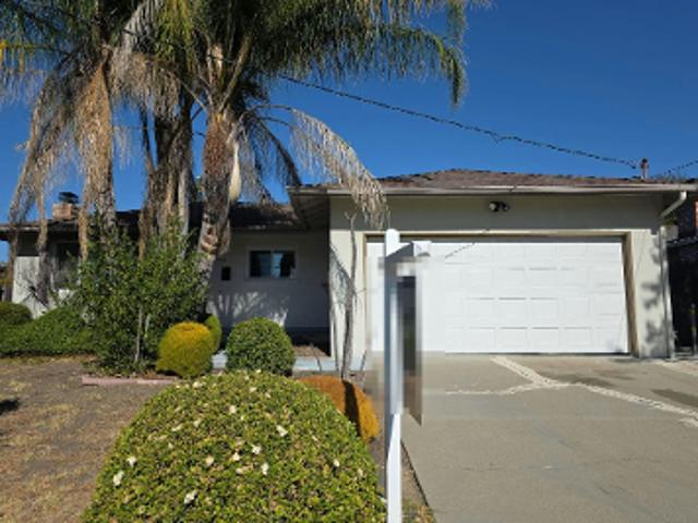 Sassel Ave