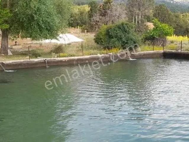 Satılık Müstakil Ev