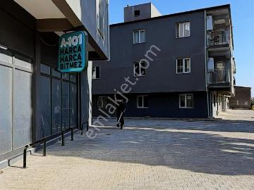 Savuca, Söke, Aydın ili, Ege Bölgesi