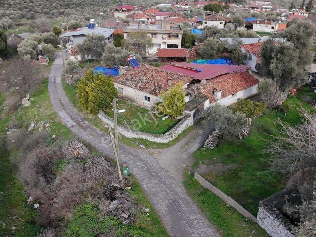 Satılık Kargir Köy Evi – Aydın / Bozdoğan / Haydere