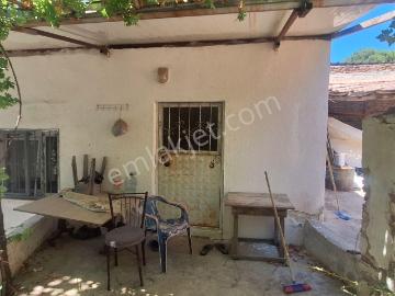 Söke, Aydın ili, Ege Bölgesi