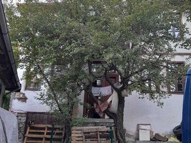 SATILIK KONAK