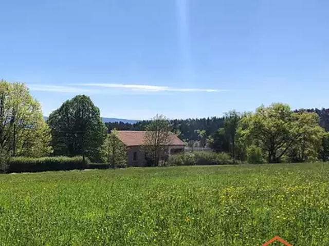 Saulcy sur Meurthe 88580 Achat / Vente maison 7 pièces t7