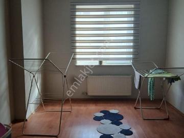 Namık Kemal Sokak, Tepebaşı, Eskişehir, Eskişehir ili, İç Anadolu Bölgesi