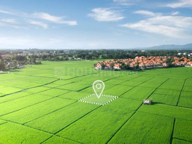 SDJS Royal City,Badsa Residential Plot For Sale Jhajjar