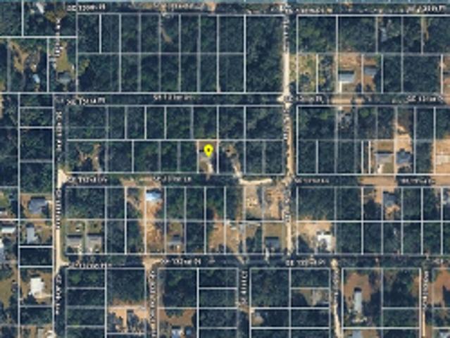 SE 131st Ln