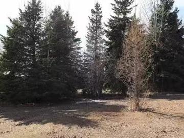Se 2 Twp 47 Rge 4 W5Th, Rural Wetaskiwin County, AB, T9A 0T0.
