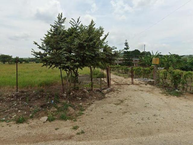 Se VENDE 60 hect?reas de terreno sobre carretera Vicente Guerrero, Ciudad Maya
