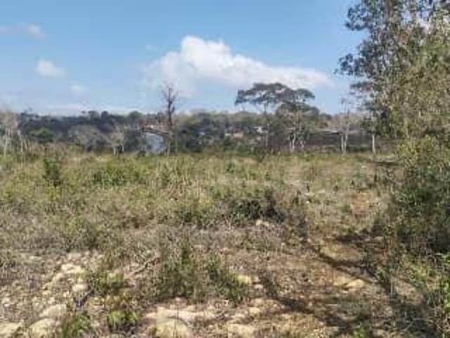 Se VENDE 60 hect?reas de terreno sobre carretera Vicente Guerrero, Ciudad Maya