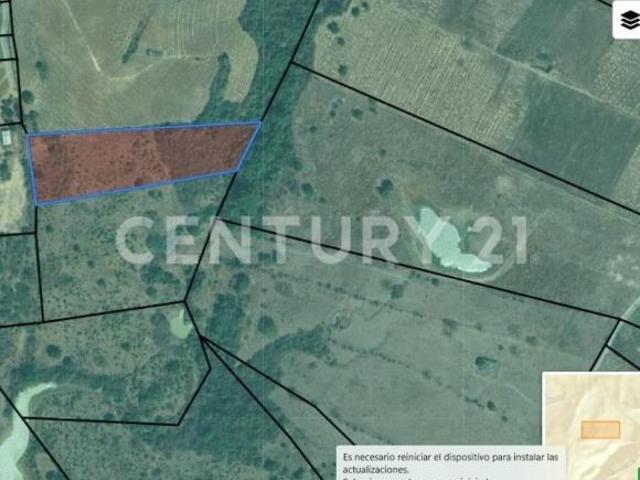 Se vende 11.4 Hectáreas en Buenavista, Cuauhtémoc, Colima