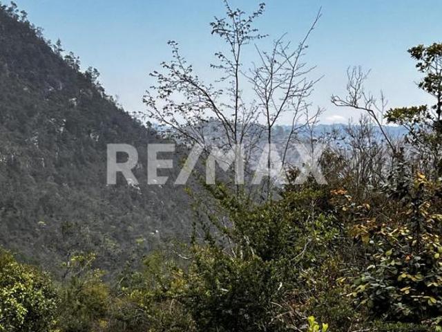Se vende 3 hectáreas en zona arbolada en Bosques del Sur