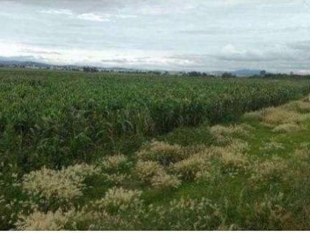 Se vende terreno a 15 minutos del Aeropuerto de Santa Lucia