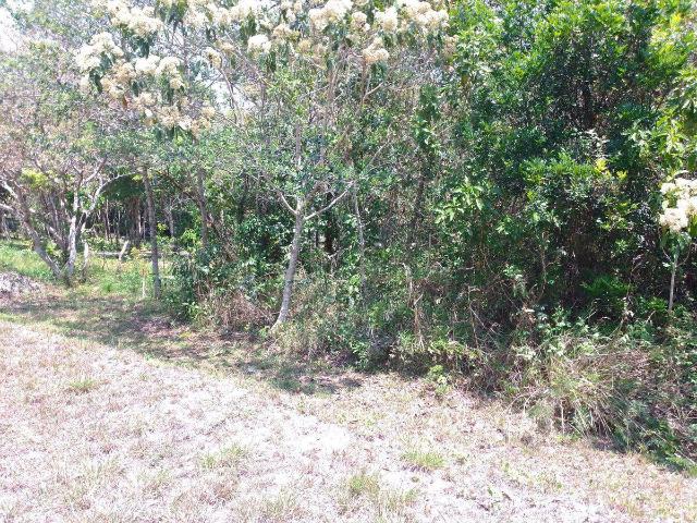 Se vende Terreno campestre Ecol?gico en Ocozocoautla, Chiapas