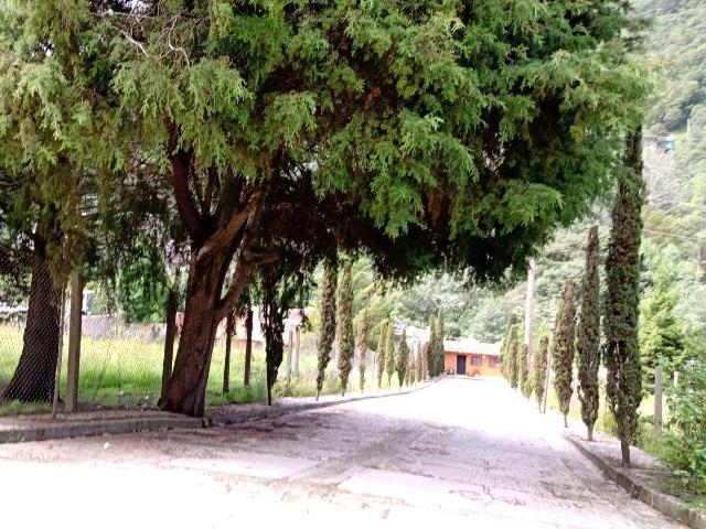 Se vende Terreno Campestre en San Cristobal