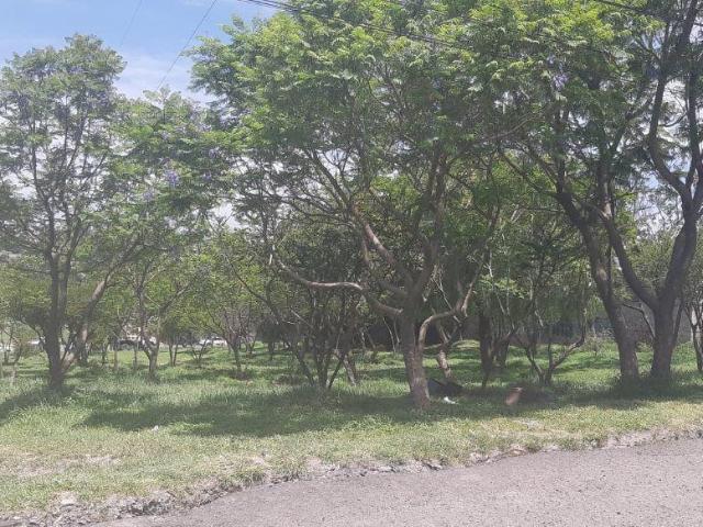 Se Vende Terreno Comercial Industrial H3 en San Pedrito Pe?uelas, 3,806 m2