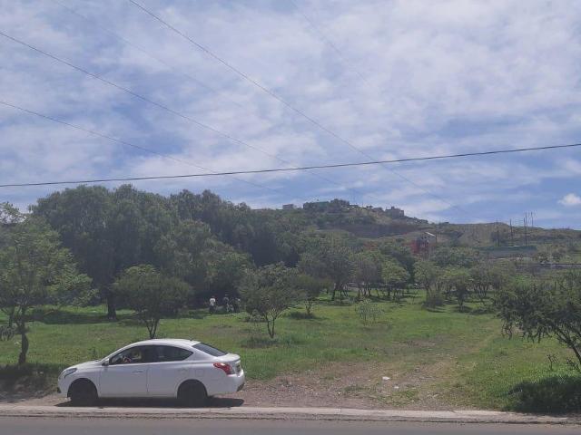 Se Vende Terreno Comercial Industrial H3 en San Pedrito Pe?uelas, 3,806 m2