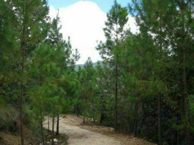 Se VENDE TERRENO con EXCELENTE VISTA en San Crist?bal de las Casas, Chiapas